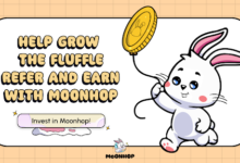 leap-beyond-the-moon:-moonhop's-epic-4900%-growth-forecast-shines-brighter-than-solana-and-dogecoin